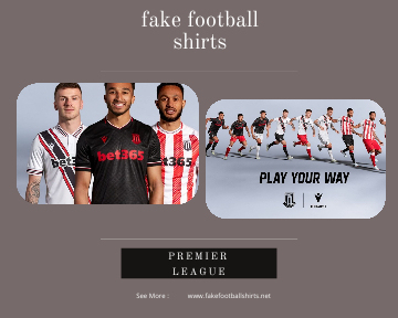 fake Stoke City football shirts 23-24